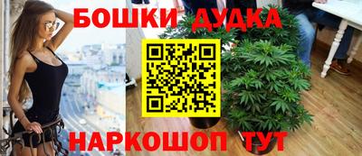 шишки Будённовск