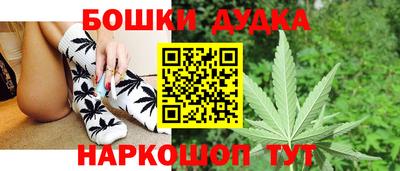 шишки Будённовск