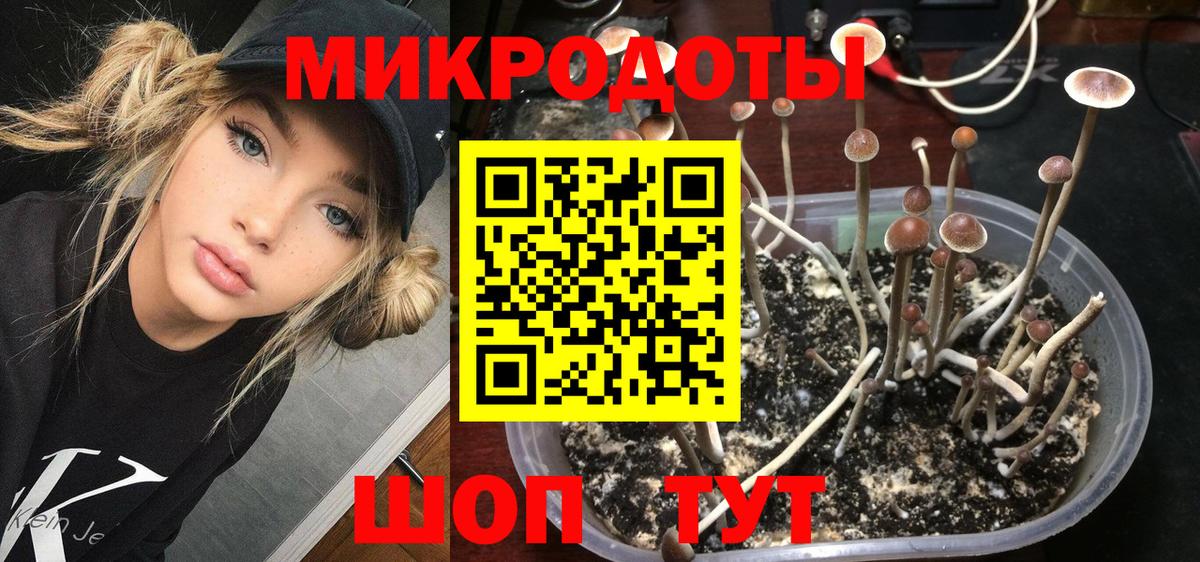 Южно-Сахалинск  дарнет шоп  Вход с VPN  Галлюциногенные грибы ЛСД 