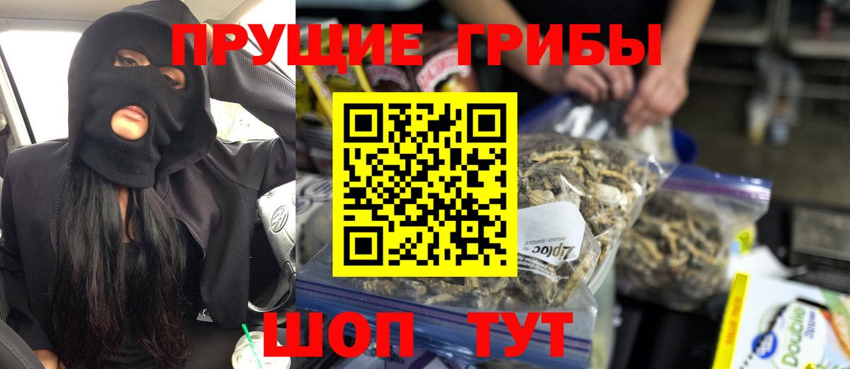 Псилоцибиновые грибы Cubensis Южно-Сахалинск